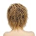 Goldfinch Blonde Ombre Short Kinky Curly Wig Human Hair Afro Curly Wig Black to Blonde Short Curly Human Hair Wig for Black Women Remy Virgin Hair Wig 5 inches