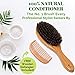 FunfulHome Boar Bristle Hair Brush + Travel Size Natural Wooden Detangler Comb for Women, Men, Kids with Dry, Normal,Fine Thin Hair- Add Shine & Improve Hair Texture- Eco Bamboo Detangling Hairbrushes
