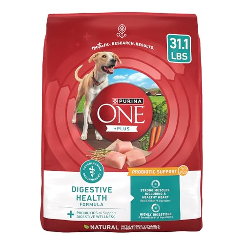 The Best Dog Food For Gassy Dogs In 2024 Dogtime