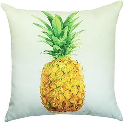 Amazon Com Kensington Row Coastal Collection Throw Pillows