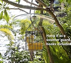 13 1/2 Inch Clear Glass Two-Way Squirrel Baffle and