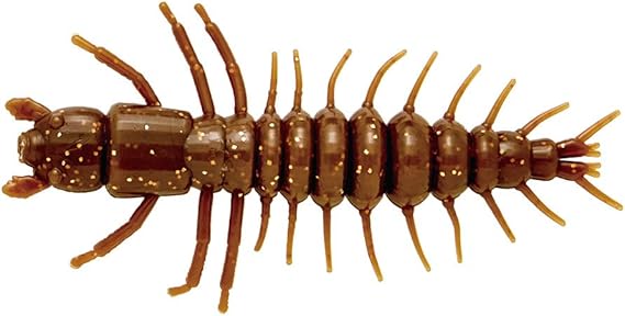 Live hellgrammites for sale near me Clearance