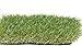PZG Premium Artificial Grass Patch w/ Drainage Holes & Rubber Backing | 4-Tone Realistic Synthetic Grass Mat | 1.6-inch Blade Height | Lead-Free Fake Grass for Dogs or Outdoor Decor | Size: 40