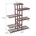 Ufine Carbonized Wood Plant Stand 6 Tier Vertical Shelf Flower Display Rack Holder Planter Organizer for Indoor Outdoor Garden Patio Balcony Living Room and Office