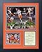 Clemson Tigers 2016 College Football National Champs- CFP Collectible | Framed Photo Collage Decor - 12