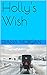 Holly's Wish (My Amish Home Book 4)