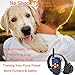 BIG DEAL Humane Safety No Shock Dog Training Collar with Remote, 1000FT Range Rechargeable Waterproof Dog Training Collar for Small Medium Large Dogs (for 1 Dog)thumb 3
