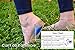 3 Pair Gel Heel Cups Plantar Fasciitis Inserts - Silicone Gel Heel Pads for Heel Pain, Bone Spur & Achilles Pain, Gel Heel Cushions and Cups, Pad & Shock Absorbing Support (Blue, Large)