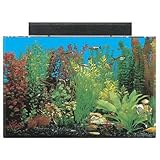 seaclear aquarium review