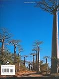Image de Remarkable Trees of the World