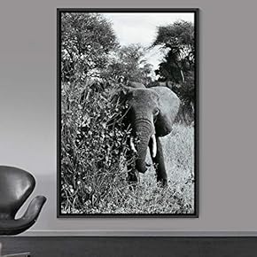 signwin Framed Canvas Wall Art Duotone Elephants Animals...