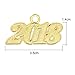 Frienda 2018 Year Signet Gold Color Charm for Graduation Tassel Grad Days