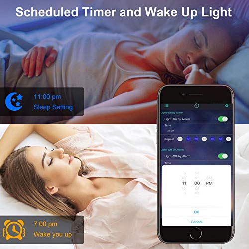 LED Strip Lights, QZYL 60FT 5050 RGB Led Light Strip Color Changing Led