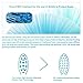 BEUTEESER Electric Toothbrush, H3 Rechargeable Sonic Electric Toothbrush with Induction Wireless Charging Base and 4 Clean Modes and 2 Replacement Heads IPX7 Waterproof