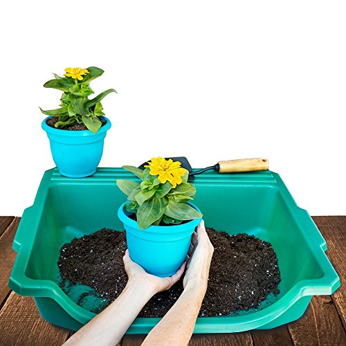 Argee RG155-2 Table-Top Gardener Portable Potting Tray, 2 Pack, Green