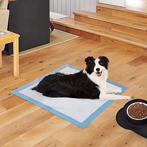 2 BESTLE+Extra+Training+Absorbent+Leak+Free