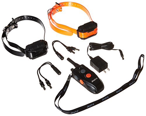 Dogtra 300M Element Dog Trainer | Dog Training Collar Reviews
