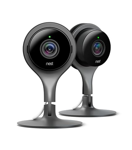 nest cam hub