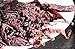 Organic Dulse Leaf, Atlantic Canada, Dark Harbour, non-GMO, Rich in Iodine, Protein, Naturally Harvested (4 ounces)