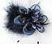 Cizoe Women's Fascinators Hat Hair Clip Feather Wedding Headware Bridal 1920s Headpiece(1-d.Blue)