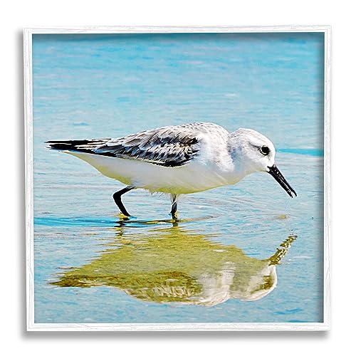 Stupell Industries Grazing Sandpiper in Water White Framed Giclee Art Design by…