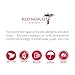 Bamboo Hypoallergenic Mattress Protector by Red Nomad - Breathable Cool Cycle Technology for Maximum Circulation & Comfort - King Size