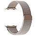 Smart Watch Band, Fully Magnetic Closure Clasp Mesh Loop Stainless Steel iWatch Band Replacement Bracelet Strap for Watch Sport&Edition 42MM-Gold