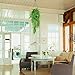 Artificial Ivy Fake Hanging Vine Plants Decor Plastic Greenery for Home Hotel Office Kitchen Wedding Party Garden Craft Art Decor Hanging Basket (Pack of 4PCS)