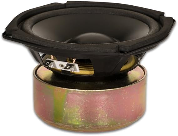 5 inch subwoofer amazon