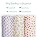 Swaddle Blanket Muslin Organic Bamboo for Baby, Set of 3 Swaddles for Boy and Girl, Soft Swaddling Receiving Sleep Blankets, Unisex Infant Toddler Gender Neutral Gift with Green (Multi)