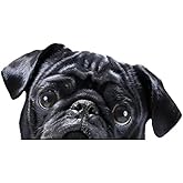 2pcs Black Pug Vinyl Decal 5.91"x3.15", Cute Wrinkled Dog Sticker for Rear Windshield, Bumper, RV, Laptop, Expressive Pet Decor |#DK179