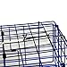Promar TR-555C1 Folding Crab Trap with 100' Poly Crab Line