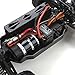 ECX Horizon Hobby Torment 1/18th 4WD SCT