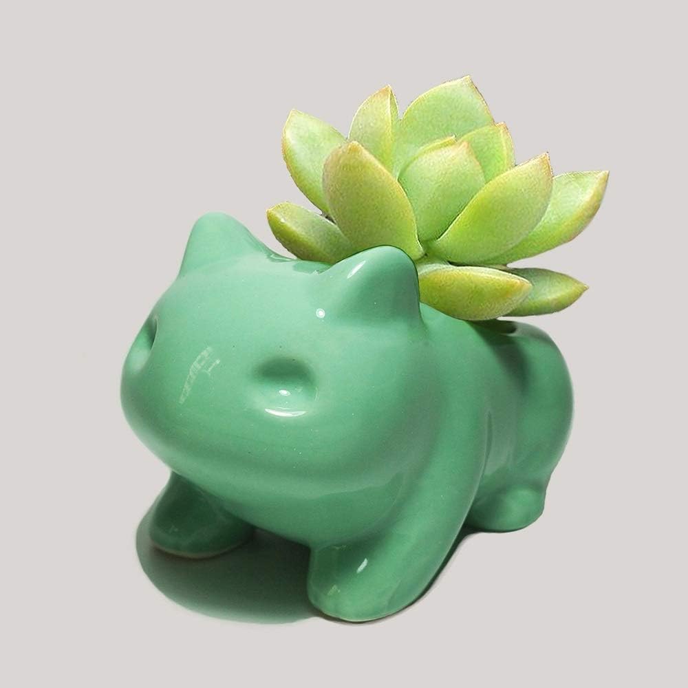Amazon Com Rishx Pokemon Flower Pot Planter Bonsai Desktop Decor Ceramic Vase Home Office Garden Decoration Anime Bulbasaur Succulent Plant Pot Garden Outdoor rishx pokemon flower pot planter bonsai
