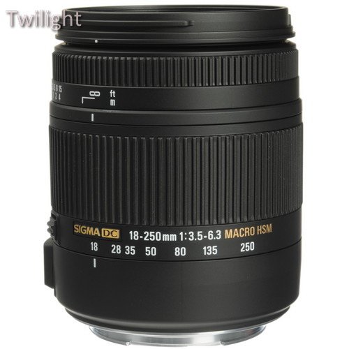 Sigma 18-250mm f/3.5-6.3 DC Macro OS HSM Lens and EF610 DG ST Flash Kit for Canon