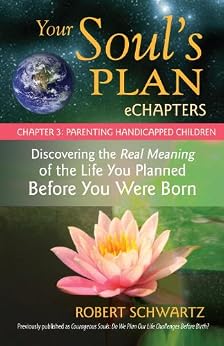 of 3 of meaning ways life discovering Soul's Parenting Plan Your eChapters 3: Chapter of 3 of meaning ways life discovering Soul's Parenting Plan Your eChapters 3: Chapter