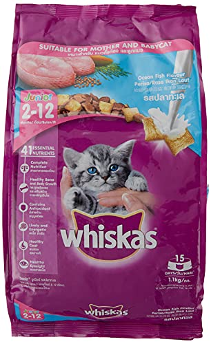 whiskas kitten biscuits