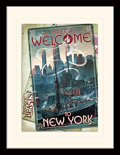 Les Animaux Fantastiques Mp11865p Pl Fantastic Beasts New York Objet Souvenir Contreplaque Multicolore 30 X 40 Cm Amazon Fr Cuisine Maison