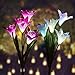 Outdoor Solar Garden Stake Lights - Premium 2 Pack Solar Powered Lights with 8 Lily Flowers, Multi-Color Changing LED Solar Decorative Lights for Garden, Patio, Backyard Decorations (Purple and White)