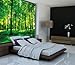 GREAT ART Poster – Summer Trees – Picture Decoration Nature Landscape Forest Glade Sunbeams Plants Flora Ferns Relaxation Sapling Spa Image Photo Decor Wall Mural (55x39.4in - 140x100cm)