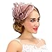 Valdler Women Cambric Mesh Retro Fascinators Suitable for All Hair Style