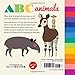 Little Concepts: ABC Animals: Alpaca, Bonobo, and Chinchilla - 26 cool new animals to discover (Volume 5)
