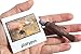Montessori Australian Animal Match Cards and Figurines. Nomenclature Science Work Continent Box