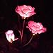 Outdoor Solar Garden Stake Lights, Homeleo Solar Powered Rose Flower Lights for Garden Back Yard Patio Christmas Decoration - Pink
