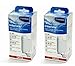 Intenza Water Filter for Gaggia Espresso Machines- Double Pack