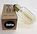 SooFoo T45 Edison Tubular Style Bulb , Vintage Antique Light Bulb ,E27 E26 Base ,110-130V 40W ,Warm white , Tubular Clear Glass, Filament Bulb For Home Light Fixtures Decorative, Dimmable (8-pack)