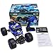 Distianert 1/12 Scale RC Truck 4WD Electric Amphibious RC Car, 2.4GHz 18km/h High Speed Monster Truck, Off-/On- Road Buggy for All Terrain