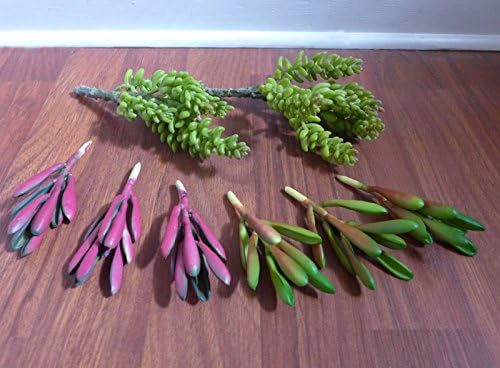 Mini Artificial Succulents Plants Yacon Landscape Grass Fake for Decoration Table Office Desk Kitchen Restaurant Home Decor Indoor Landsacpe Garden 1Set of 8Pcs (No Vase Included)