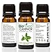 BioFinest Camphor Oil - 100% Pure Camphor Essential Oil - Premium Quality - Therapeutic Grade - Best For Aromatherapy - FREE E-Book (10ml)