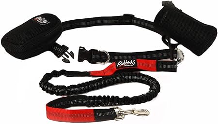 mod bungee dog leash